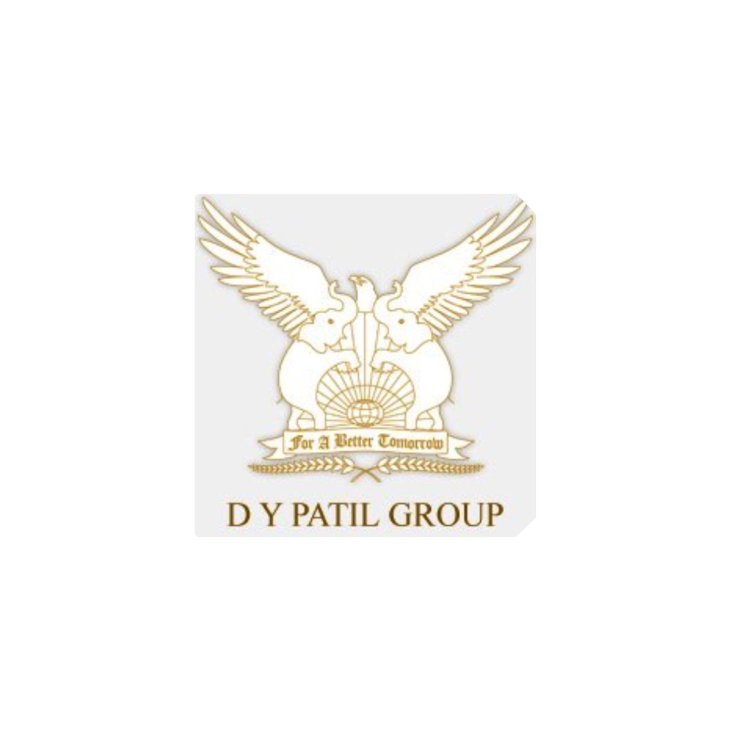 D.Y.Patil Constructions